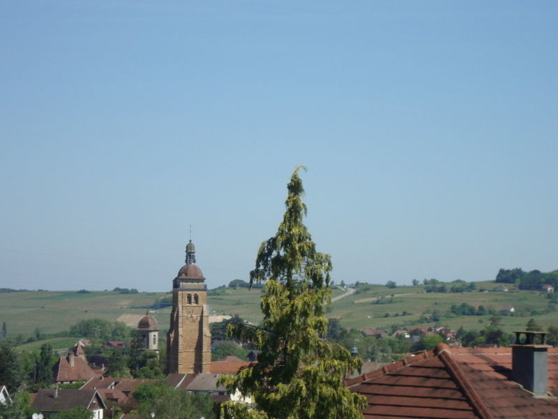 Terrain vue sur ARBOIS